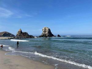 Mini Dpto frente al mar playa Pta N