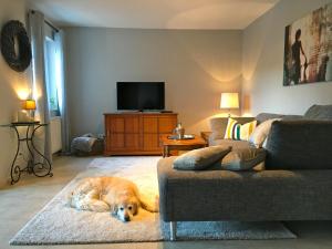 Moselschön Das Ferienhaus