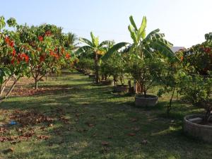 Shine Villa Sukhothai