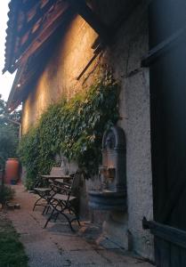 Dreiländereck-Ferienwohnung in Eschbach