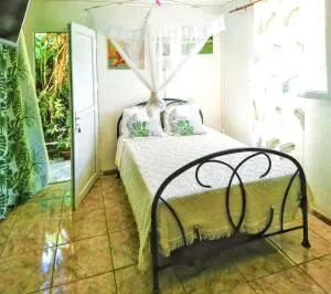 Studio charmant à Fort-de-France avec vue sur jardin - 38 m² - Fontaine de Moutte