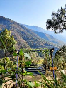 Jaseelo Camps & Resort