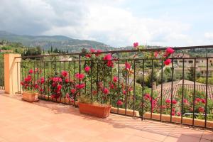 Villas VILLA Les Coquelicots GRASSE proche CANNES : photos des chambres