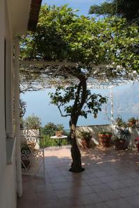 Casa Nostra - Among the Alleys of Praiano