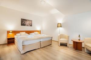 Quadruple Room with Balcony and Wellness Access room in Wine Wellness Hotel Amande Hustopeče