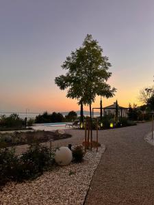 StHedonist Luxury Apartment Pool Sea and Rock