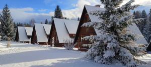 Domki Bieszczady Siedlisko Harenda
