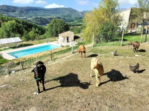 Villas Villa charmante a Sisteron avec piscine privee : photos des chambres