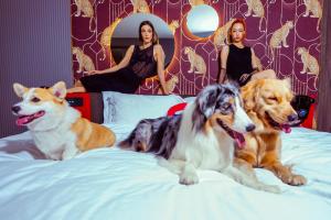 The Fig Lobby Bangkok