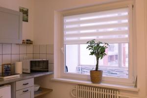 Visaginas Flat White