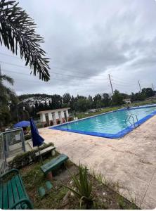 At Home in Santa Rosa