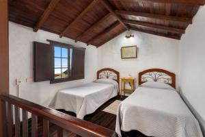 Tesbabo Rural - Camelia