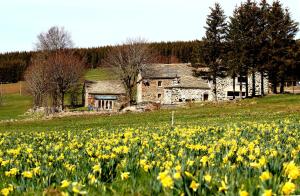 Maisons de vacances Gite Le Buisson - Spa and sauna : photos des chambres