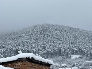 Къща Христини