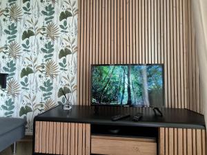 Appartements Studio Cosy AspinIII : photos des chambres