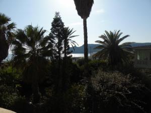 Villino Vanzetti 1930 img35