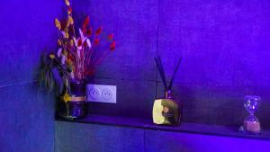 Appartements DaLoospa proche Paris, Aeroport Cdg Design&Spa Parking prive : photos des chambres