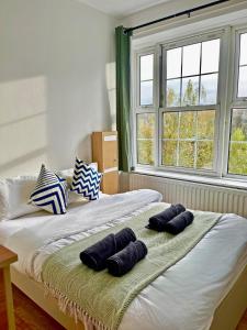 Entire Serviced Apartments Elephant and Castle sleep 8