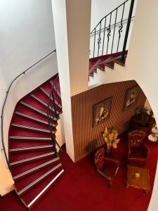 Zámocká koruna u Hoffera