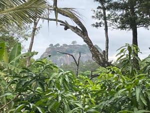 Yashis Place Sigiriya