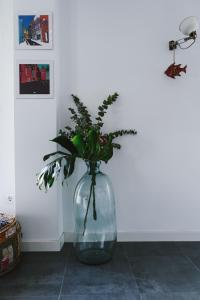 Cathedral - City Center - Free Parking - Climatized