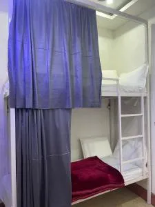 Homely Vibes - Naini