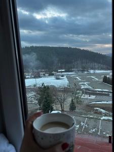 Salt Hill Apartman No 19