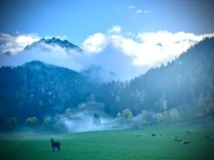 Lürzergut - 扎奥岑湖