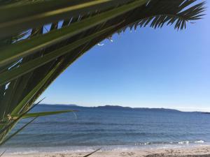 Maisons de vacances Les Sables d'Or : photos des chambres