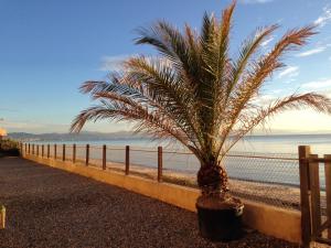 Maisons de vacances Les Sables d'Or : photos des chambres