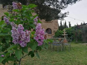 Cal Japet Encant Rural
