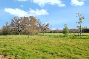Appartements Appartement cosy a Mont-pres-Chambord - 100 m² - Terrasse : photos des chambres