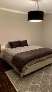 Penthouse 5 Room Duplex 3 Terraces, Near Center and Rhine