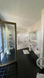 Penthouse 5 Room Duplex 3 Terraces, Near Center and Rhine