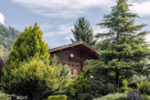 Chalets Chalet Henri, Montriond ideal familles : photos des chambres