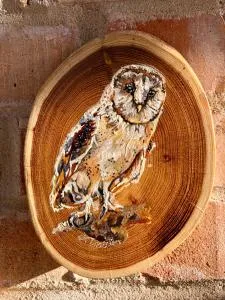 Eulenwohnung Apartment - Dannigkow