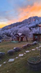 Camping Poiana Stelelor