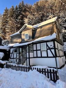 Waldtraum Lodge Winterberg für 10 Personen mit Garten und Grill