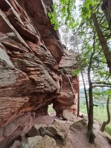 Fels- und Seenland - Sturzelbronn