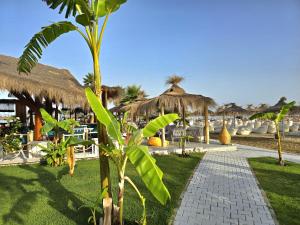 Sunny Beach Penthouse - 216