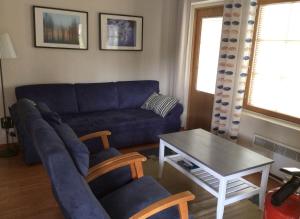 Alpine House Apartment in Levi