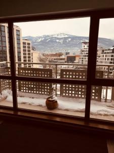 Spacious apartment with a Mountain view, big balcony and parking