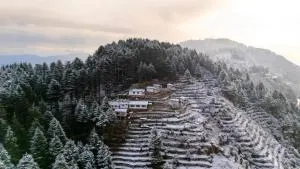 The Deodar Stays - كاناتال