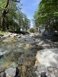 Cabaña con Vista Bosque y Río
