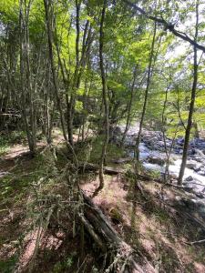 Cabaña con Vista Bosque y Río