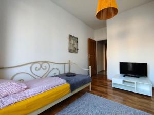 Apartament z ogrodem w sercu Torunia