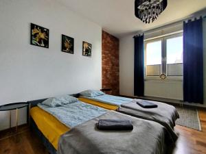 Apartament z ogrodem w sercu Torunia