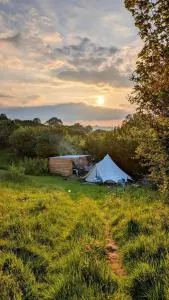 Daisy Bell Tent at Belan Bluebell Woods - 拉尼德洛伊斯