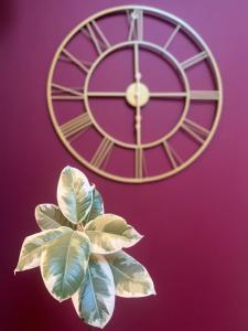 B&B / Chambres d'hotes Le Petit Nancay : photos des chambres