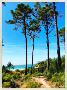 Maisons de vacances Belle maison 3 chambres avec jardin et piscine Saint-Pierre d-Oleron OCEAN LILI-s EYES : photos des chambres